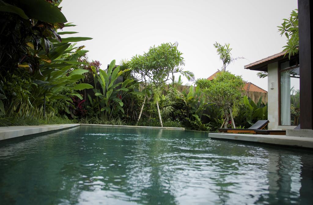 Dugul Ubud Quarto foto