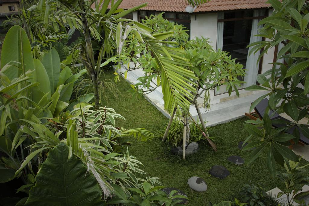 Dugul Ubud Quarto foto